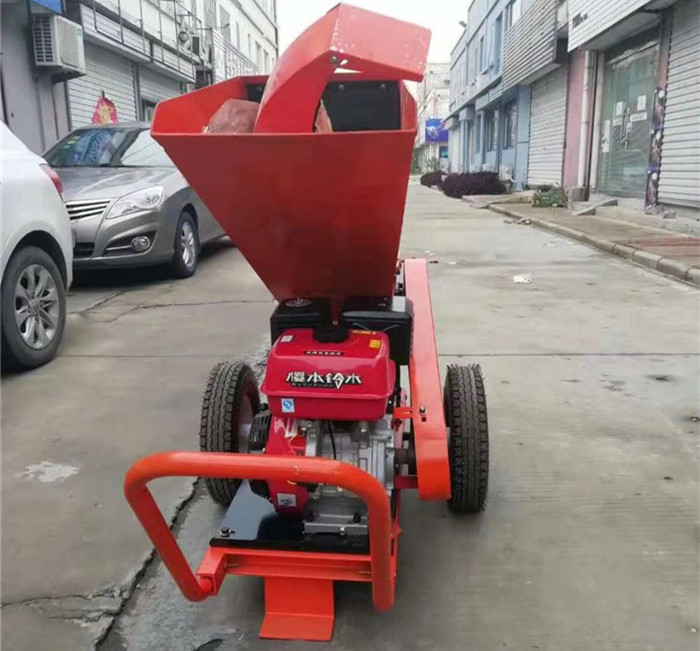 1557733883268171.jpg 齒輪減速馬達一體式